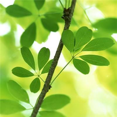 千岸科技 IPO：数字技术赋动能，全链运营铸核心优势